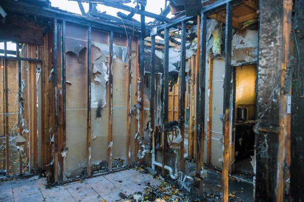 Professional Fire Damage Assessment technician working in Havana, IL